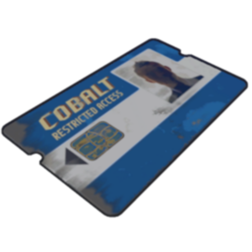 Blue Card